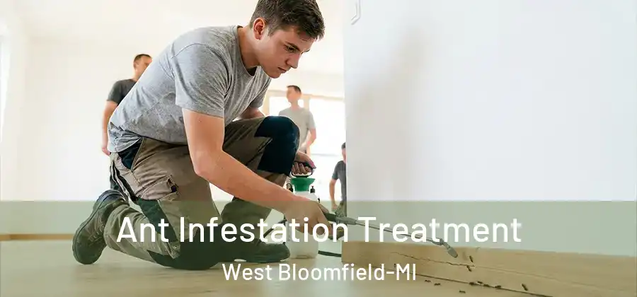 Ant Infestation Treatment West Bloomfield-MI