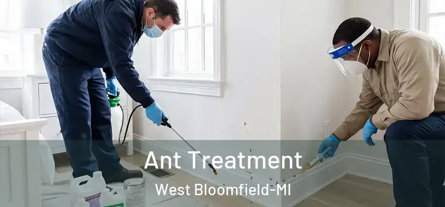 Ant Treatment West Bloomfield-MI