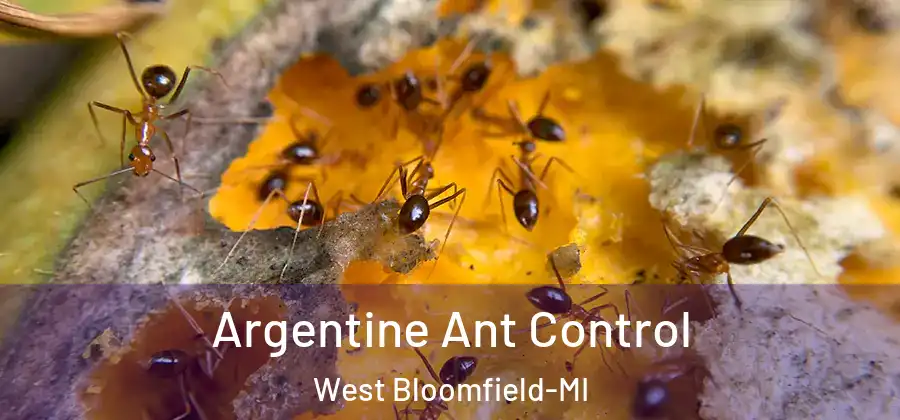 Argentine Ant Control West Bloomfield-MI