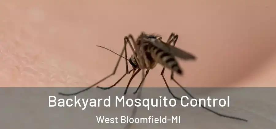 Backyard Mosquito Control West Bloomfield-MI