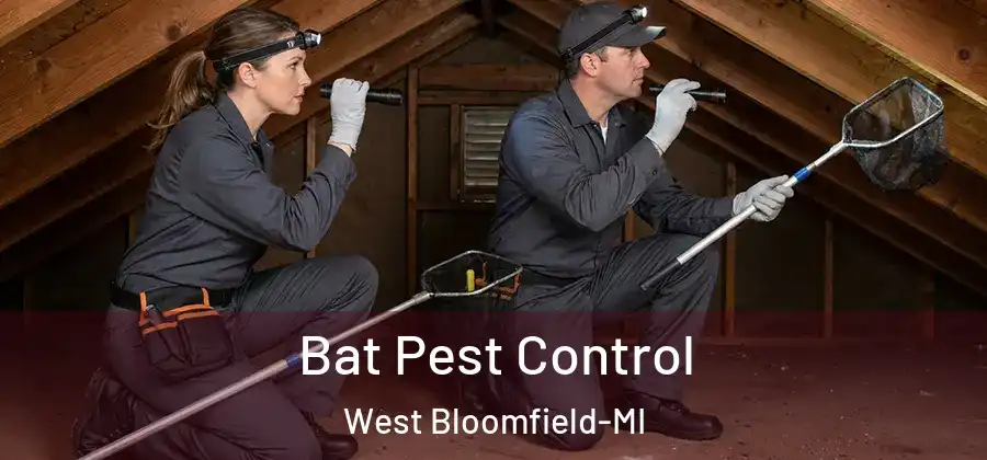 Bat Pest Control West Bloomfield-MI