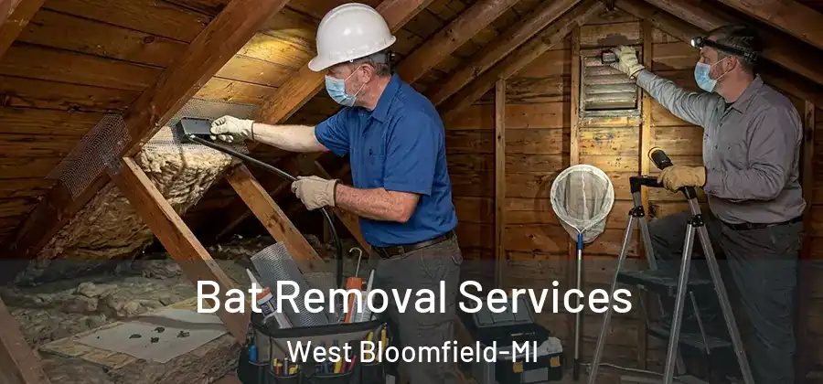 Bat Removal Services West Bloomfield-MI