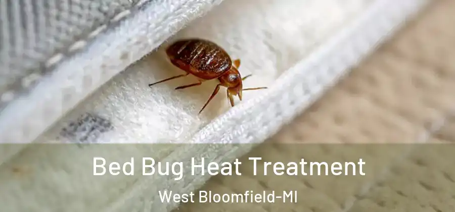 Bed Bug Heat Treatment West Bloomfield-MI