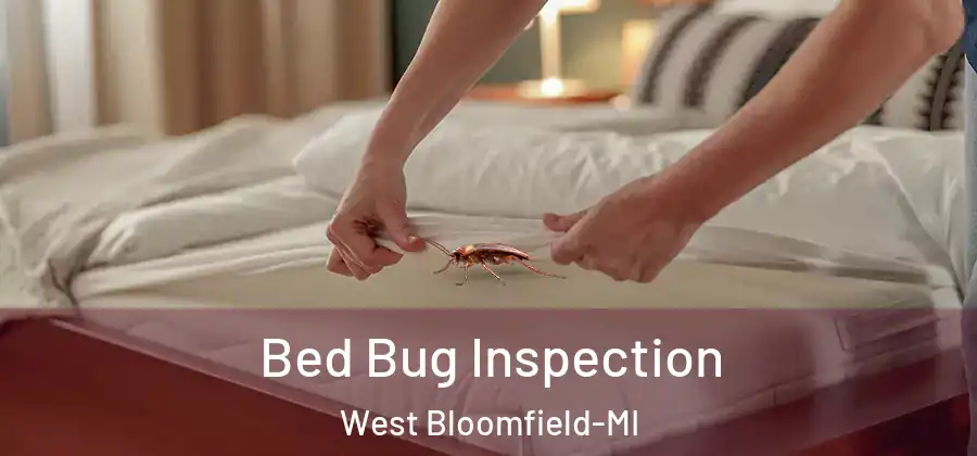  Bed Bug Inspection West Bloomfield-MI
