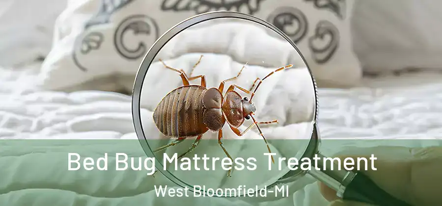 Bed Bug Mattress Treatment West Bloomfield-MI