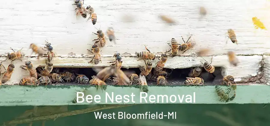Bee Nest Removal West Bloomfield-MI