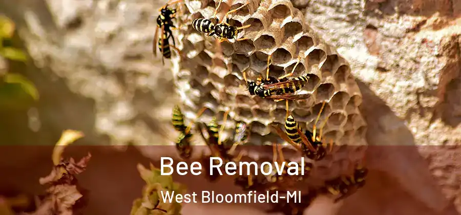  Bee Removal West Bloomfield-MI