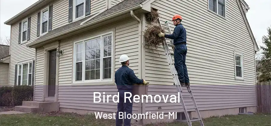 Bird Removal West Bloomfield-MI