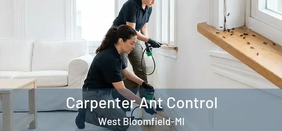  Carpenter Ant Control West Bloomfield-MI
