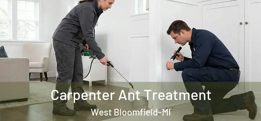 Carpenter Ant Treatment West Bloomfield-MI