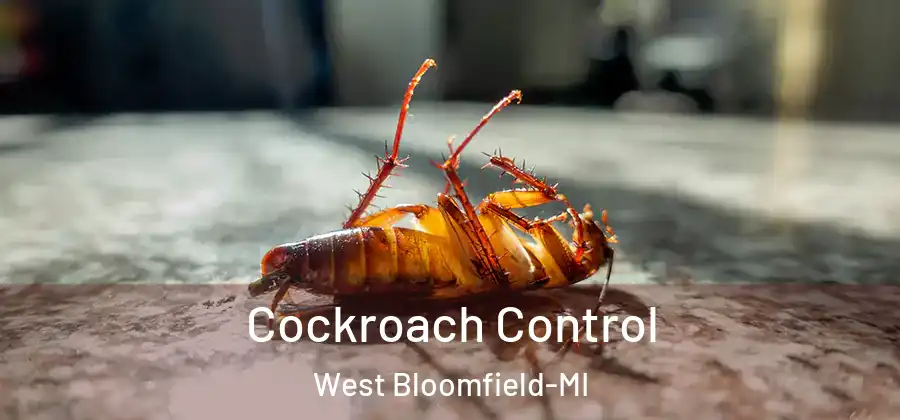 Cockroach Control West Bloomfield-MI