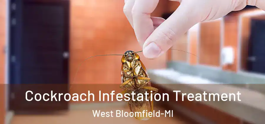Cockroach Infestation Treatment West Bloomfield-MI