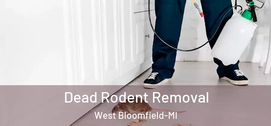 Dead Rodent Removal West Bloomfield-MI