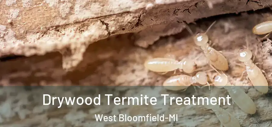 Drywood Termite Treatment West Bloomfield-MI