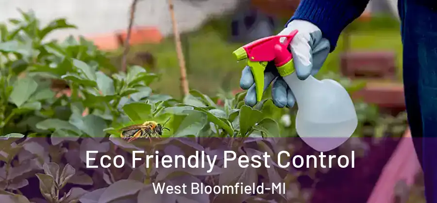 Eco Friendly Pest Control West Bloomfield-MI