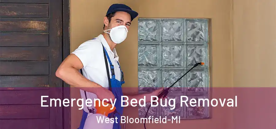 Emergency Bed Bug Removal West Bloomfield-MI