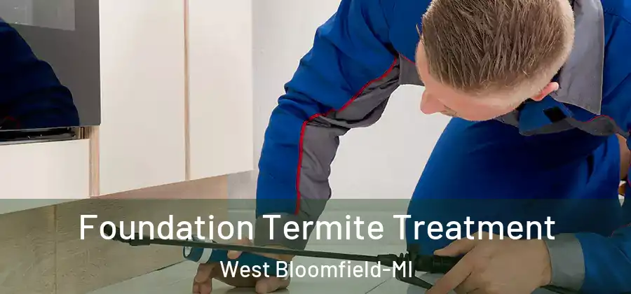 Foundation Termite Treatment West Bloomfield-MI