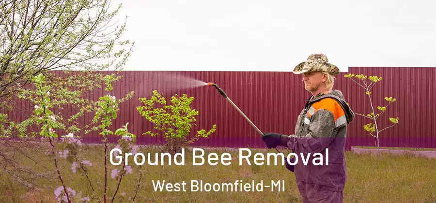 Ground Bee Removal West Bloomfield-MI