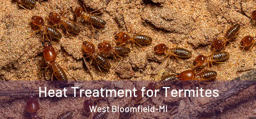 Heat Treatment for Termites West Bloomfield-MI