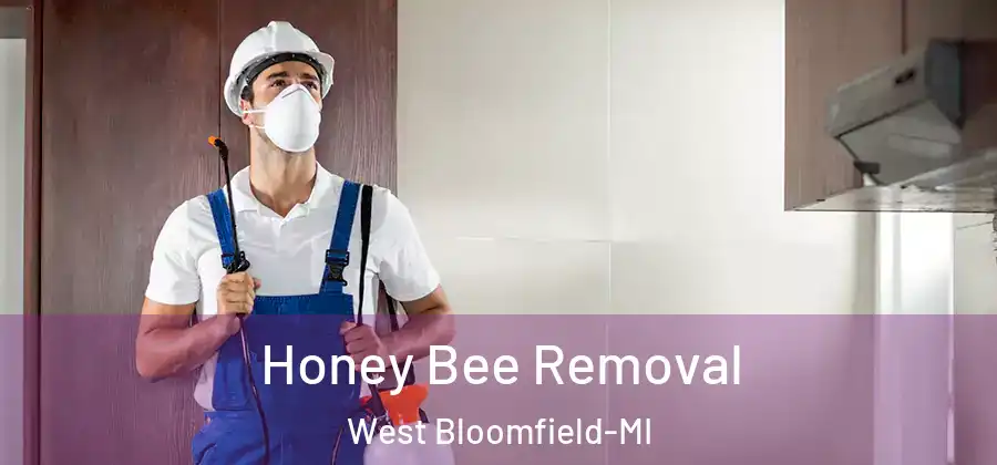 Honey Bee Removal West Bloomfield-MI