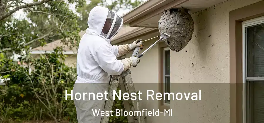 Hornet Nest Removal West Bloomfield-MI