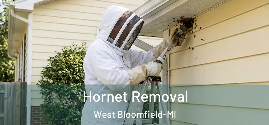 Hornet Removal West Bloomfield-MI