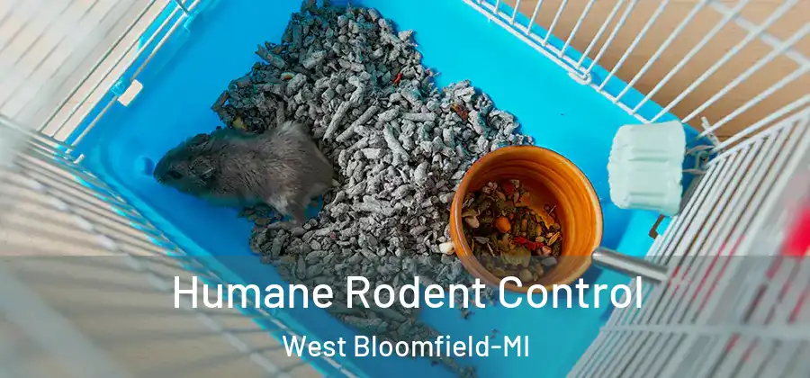 Humane Rodent Control West Bloomfield-MI