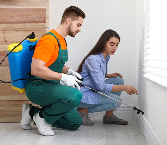 Trusted Affordable Bed Bug Treatment Experts in West Bloomfield, MI