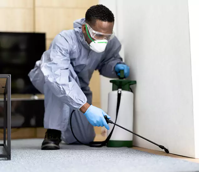 Reliable Attic Termite Specialists in West Bloomfield, MI