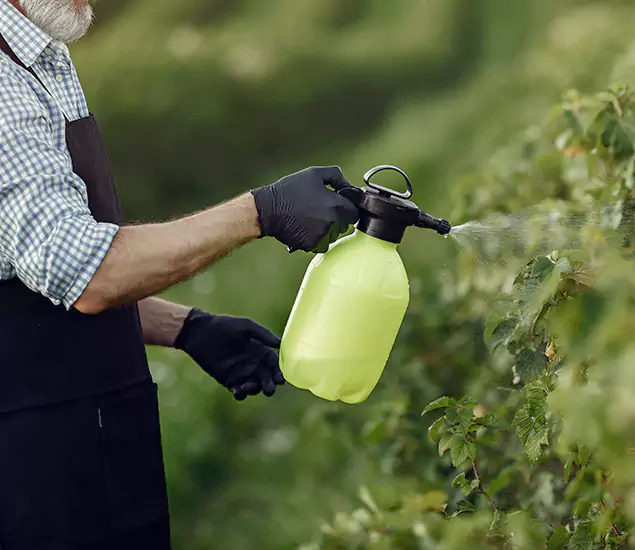 Your Proven Mosquito Treatment Company in West Bloomfield, MI