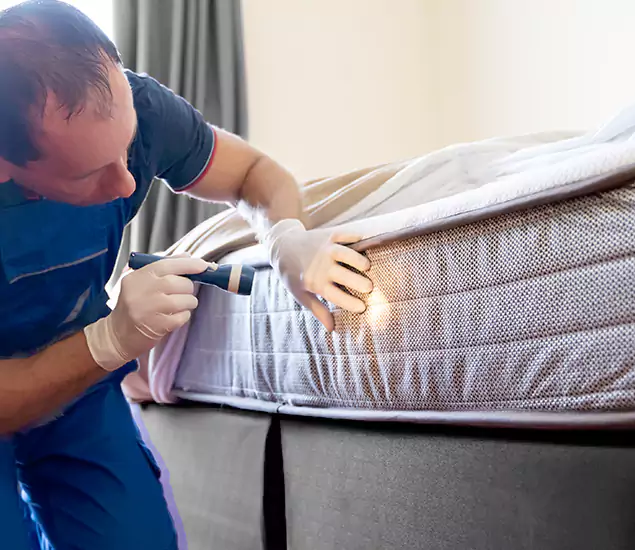Trusted Bed Bug Cost Experts in West Bloomfield, MI