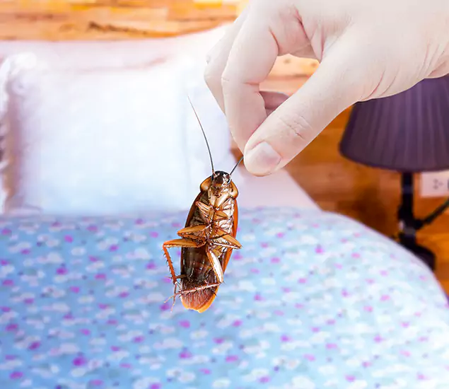 Expert Roach Control Services: Your Cockroach Pest Control in West Bloomfield, MI