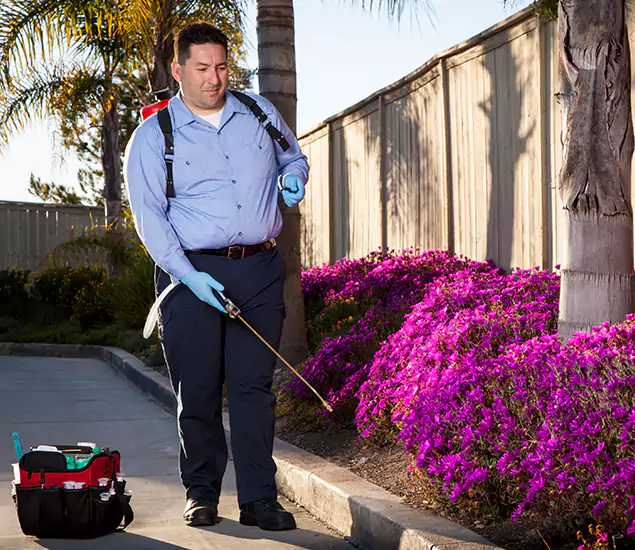 About Our Eco Safe Pest Control Experts in West Bloomfield, MI