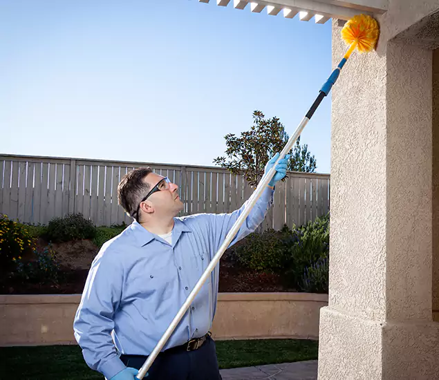 Trusted Experts in West Bloomfield MI for Formosan Termite Treatment and Black Termite Control