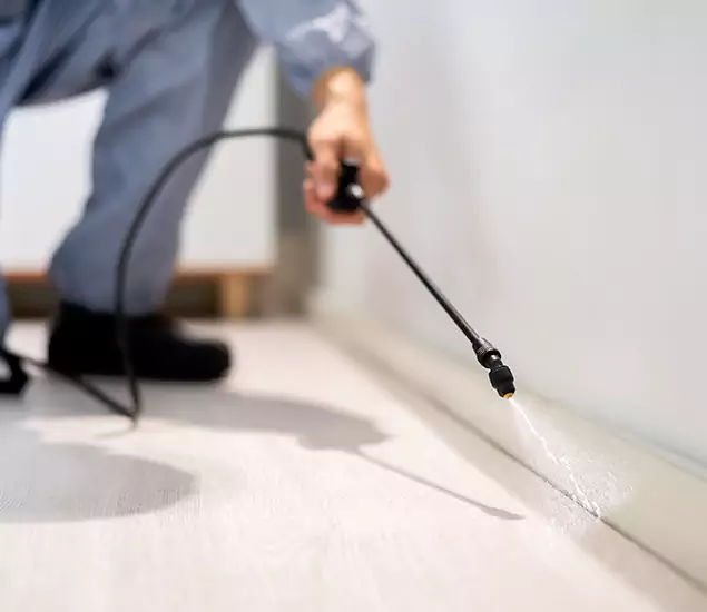 About Our Liquid Termite Treatment Experts in West Bloomfield, MI