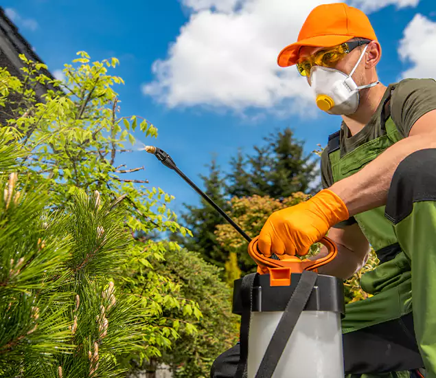 Your Mosquito Repellent Barrier Service in West Bloomfield, MI