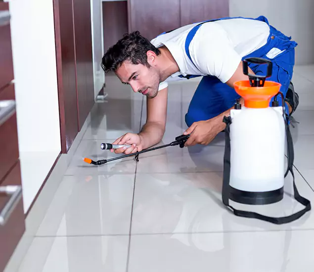 Reliable Professional Mouse Removal: Your Best Mouse Control Company in West Bloomfield, MI