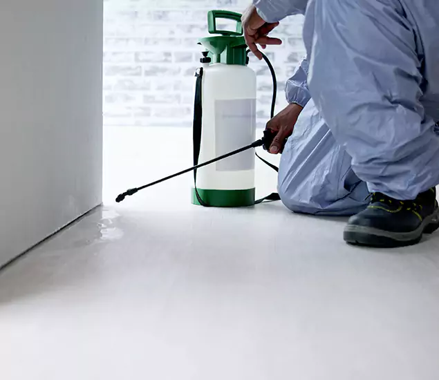 Affordable Pest Control Experts in West Bloomfield, MI