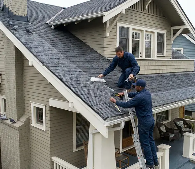 Your Pigeon Control Experts in West Bloomfield, MI