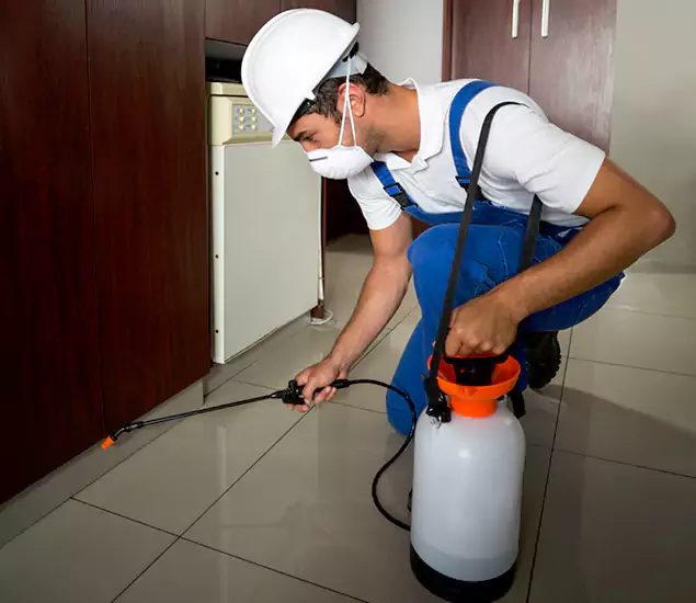 Advanced Termite Pre Treatment Experts in West Bloomfield, MI