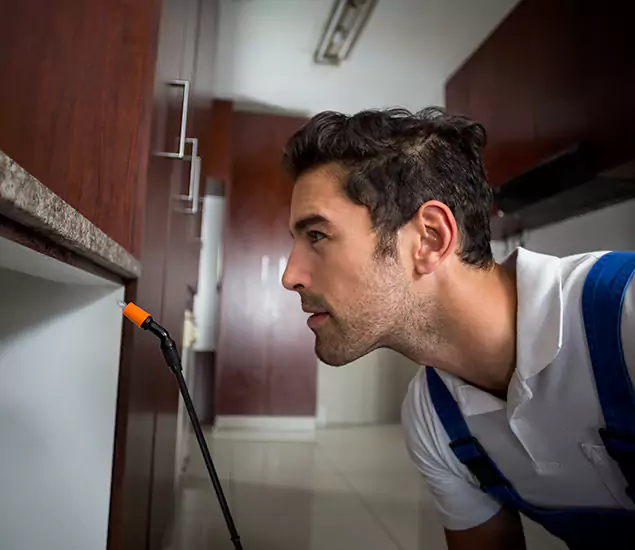 Expert Rodent in Attic Removal: Your Proven Pest Specialists in West Bloomfield, MI