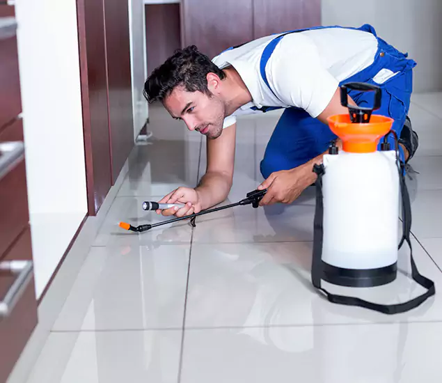 Advanced Slab Termite Treatment Experts You Can Trust&nbsp;in West Bloomfield, MI