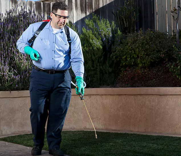 Reliable Termite Barrier Treatment Experts in West Bloomfield, MI