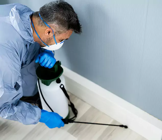 Reliable Termite Cost Experts in West Bloomfield, MI