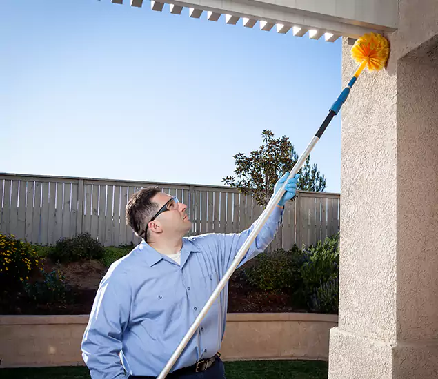 Your Trusted Wasp Removal Company in West Bloomfield, MI