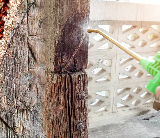 About Wood Termite Treatment Services in West Bloomfield, MI