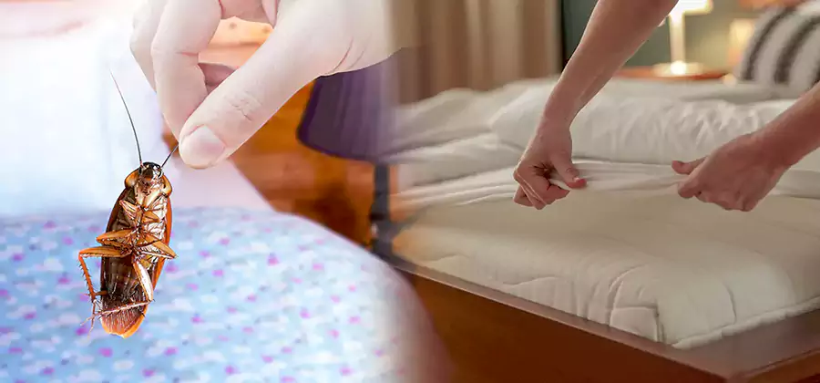 Bed Bug Home Extermination Service in West Bloomfield
