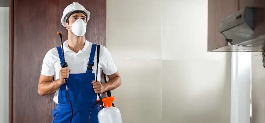 Per Room Bed Bug Cost in West Bloomfield