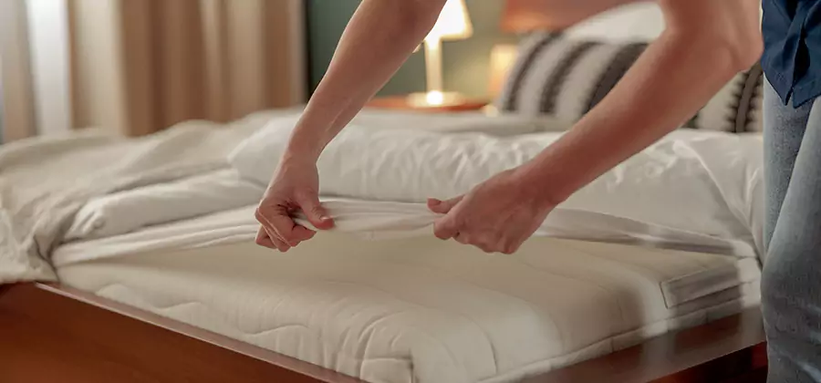 Bed Bug Extermination Services in West Bloomfield
