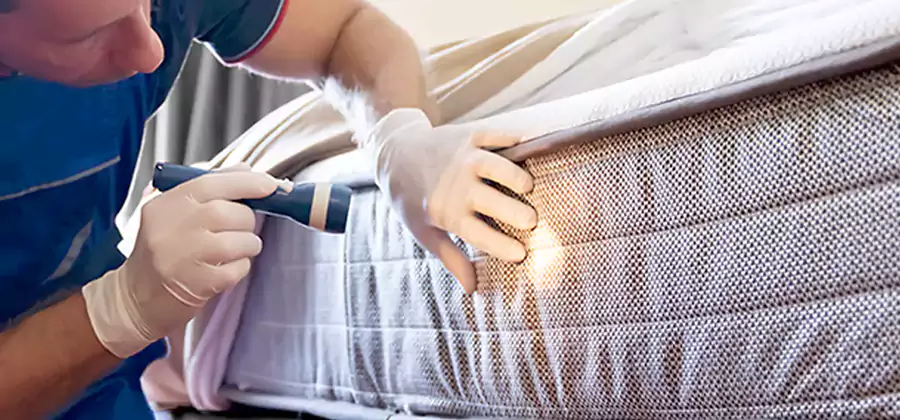 Residential Bed Bug Treatment Cost in West Bloomfield